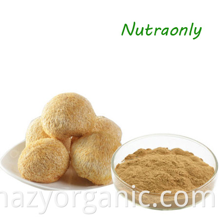 GMP factory supply wholesale organic lion's mane mushroom extract hericium erinaceus extract